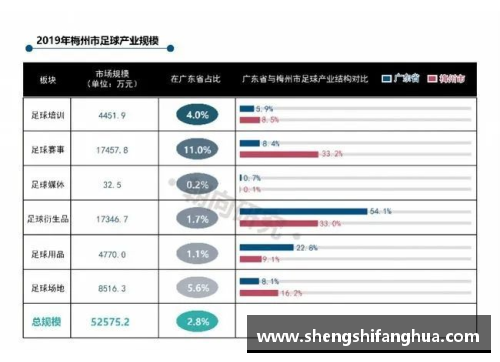 梅州足球：崛起与传承