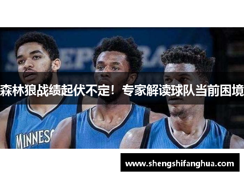 森林狼战绩起伏不定！专家解读球队当前困境